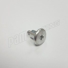 Brembo Stützschraube M5 Edelstahl für Bremsglas
