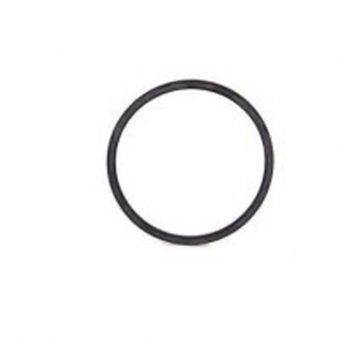 Brembo Staubschutzdichtung Bremssattel 120A44110 (hinten)