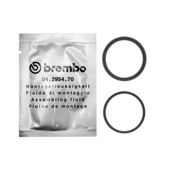 Satz 2 Dichtungen für 1 Kolben Durchmesser 30 mm Bremssattel BREMBO CBR1000RR 2012-2022
