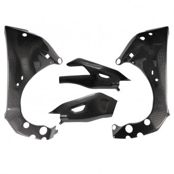Carbon frame and swingarm protectors Yamaha YZF-R1 2015- | MT10 2016-2020
