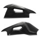 Carbon swingarm covers RSV4 2009-2020 | Tuono V4 2011-2020