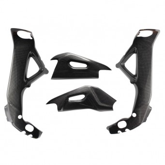 Carbon frame swingarm protectors RSV4 2009-2020, Tuono V4 1100 2015-2020