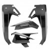 Frame and swingarm protectors with carbon chain guard RS660 2020-2022