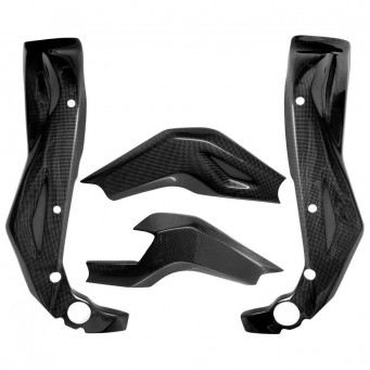 Carbon frame swingarm protectors RSV1000 2004-2009