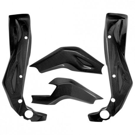 Carbon frame swingarm protectors RSV1000 2004-2009