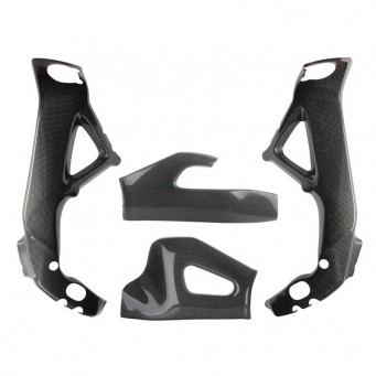 Carbon Rahmenschoner und Carbon Schwingenschoner RSV4 1100 Factory 2021-2023 | Tuono V4 2021-2023