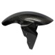 Kotflügel vorn Carbon S1000RR 2009-2018, S1000R 2014-2020, HP4 2013-2015