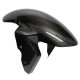 Carbon Front  Fender S1000RR | S1000R  | HP4 