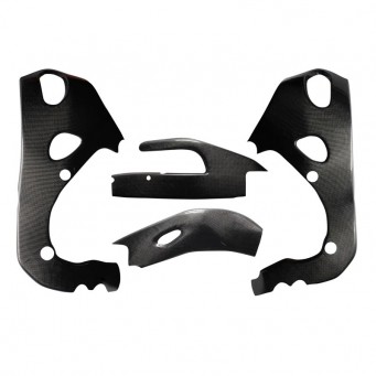 Carbon-Rahmen- und Schwingenschutz CBR1000RR 2008-2019