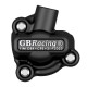 GB RACING Wasserpumpenabdeckung R3 2023
