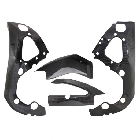 Carbon frame swingarm protectors S1000RR 2015-2017