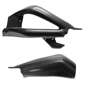 Carbon-Schwingarmschutz Daytona 675 | Street Triple 675