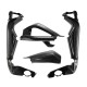 Carbon frame and swingarm protectors with chain guard Daytona 675 2013-2016 | Daytona Moto2 2019-2020