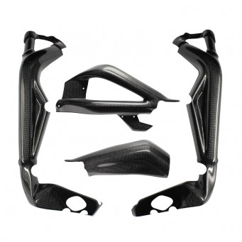 Carbon frame and swingarm protectors with chain guard Daytona 675 | Street Triple 675