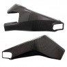 Carbon Schwingenschutz Version 2 R6 2006-2016