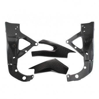 Large frame guard and carbon swingarm R6 2006-2016