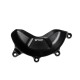Bonamici Racing Lichtmaschinen Motorschutz (links) Panigale V4/V4R/V4S 2018-2024