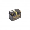 Yuasa Motorcycle Battery YTZ12S