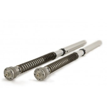 Öhlins NIX 30 Cartridge Set FGK 240 S1000RR 2019- (K67)| M1000RR 2021- (K66)