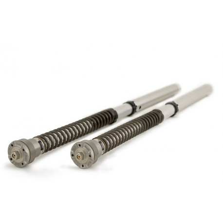 Kit cartouches OHLINS NIX30 S1000RR 2019-2025, M1000RR 2021-2024