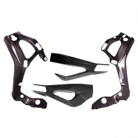 Protections de cadre et bras oscillant carbone S1000R 2021-2024
