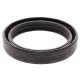 Öhlins  Gabelspy-Dichtung Durchmesser 48 mm