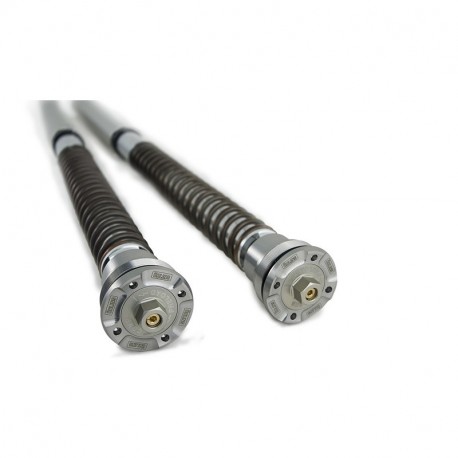 Öhlins NIX 30 Cartridge Kit NIX30 CBR1000RR 2020-2026 with Showa Fork