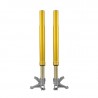 Öhlins FGR 250 USD Front Fork Racing Universal Front Fork Racing