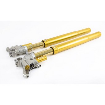 Öhlins FGR 300 Telegabel Rennsport universal