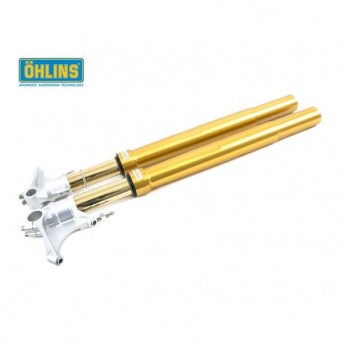 Öhlins Upside Down Gabel Road & Track R1200 Nine T/Pure/Racer 2017-2023