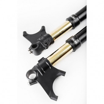 Öhlins Upside Down Gabel Road & Track Diavel 1200 2011-2018