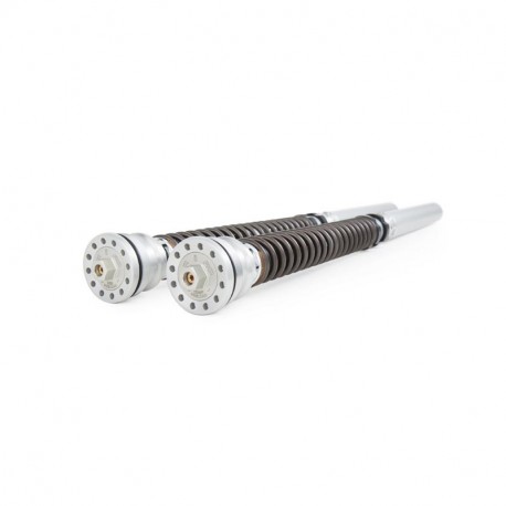 Kit cartouche bitube TTX 25 OHLINS ZX10R 2016-2022, ZX10RR 2018-2022, GSXR1000R 2017-2021