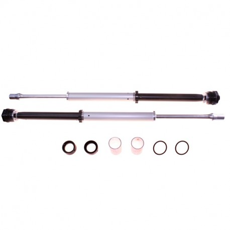 Öhlins NIX 22 Cartridge Set YZF-R3 2015-2018 | MT-03 2016-2019 | YZF-R25 2014-2018