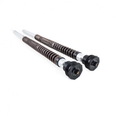Öhlins NIX 30 Street Cartridge Kit Kawasaki Z 900 RS 2018- / RS Café 2018-2020 / RS Performance 2018-2021 Öhlins NIX 30 Street Cartridge Kit Kawasaki Z 900 RS 2018- / RS Café 2018-2020 / RS Performance 2018-2021