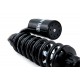 Paire d' amortisseurs arrière OHLINS S36PR1C1L 1200 Thruxton/R/RS 2016-2021