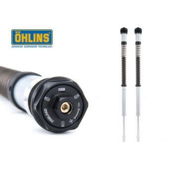 Öhlins NIX 22 Cartridge Kit R1200 Nine-T Pure 2017-2023 | R1200 Nine-T Racer /5 2017-2020
