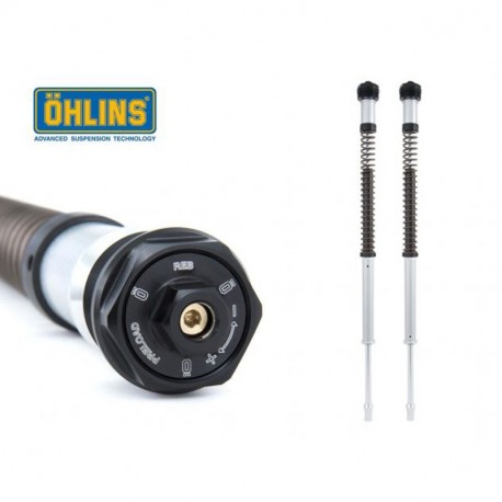 Öhlins NIX 22 Cartridge Kit R1200 Nine-T Pure 2017-2023 | R1200 Nine-T Racer /5 2017-2020