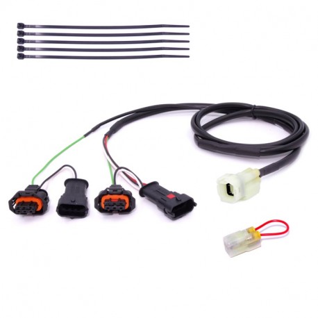Healtech wiring harness for Quickshifter Easy1 Buell | Ducati | KTM