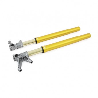 Fourche OHLINS TTX25 R6 2017-2022, R1, R1M 2015-2022