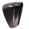 Embout end-cap carbone pour ligne racing Akrapovic S1000RR 2019-2025, S1000R, M1000R, M1000RR 2021-2024