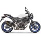 Silencieux AKRAPOVIC carbone SV650 2016-2024, SV650X 2018-2024