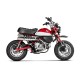 Akrapovic Doppel-Titan-Schalldämpfer Monkey 2019-2025