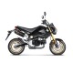 Silencieux carbone Akrapovic MSX125/Grom 2013-2015
