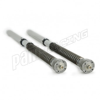 Öhlins NIX 30 Cartridge Kit NIX30 Panigale 899 2014-2015 | 959 2016-2019 | V4 2018-2025 | V2 2020-2024 | Streetfighter V2/V4 202