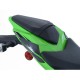 ﻿R&G Carbon Heck Protektor Kawasaki ZX-10 R 2016-2020