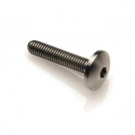 LighTech Button Head Titanium M5