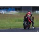 Spark Titan-Rennsportauspuffanlage  + EVO silencer ohne ABE für Honda CBR 600 RR 2013-