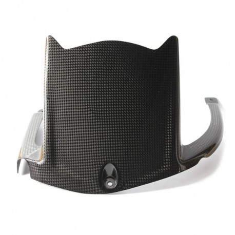 LighTech Carbon Rear Mudguard for Kawasaki ZX10R 2011-2020