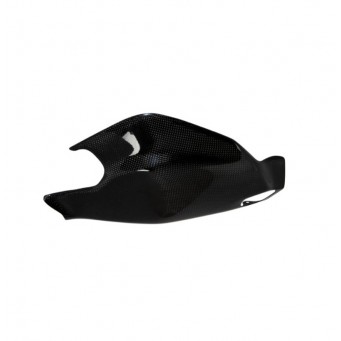 LighTech Carbon-Armschutz für Ducati Panigale 1199/1299 2012-2017