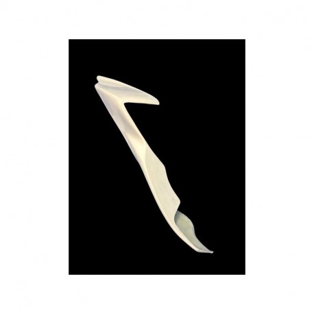 Ailerons de coque arrière fibre de verre R7 2021-2024 SEBIMOTO